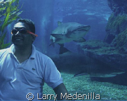 We were having fun at the Siam Mall Aquarium in Bangkok. ... by Larry Medenilla 